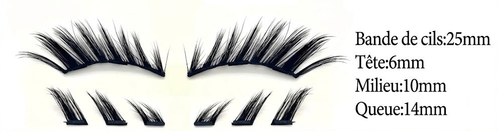 tailles zoom cils